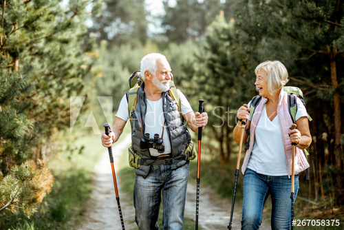 500_F_267058375_AYJcmf0zIydbCGGySqYPKYI4QUirdOue